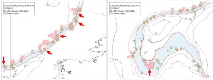 ICES 2024 VME advice 1024x389
