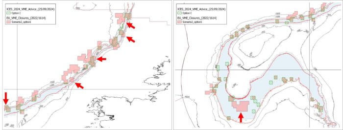 ICES 2024 VME advice