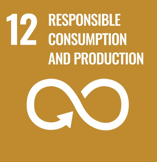E WEB Goal 12
