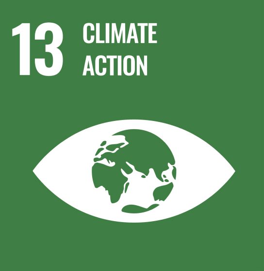 E WEB Goal 12