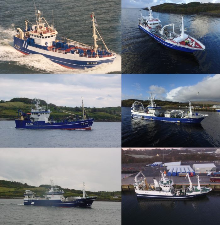 Pacelli Olgarry Neptune