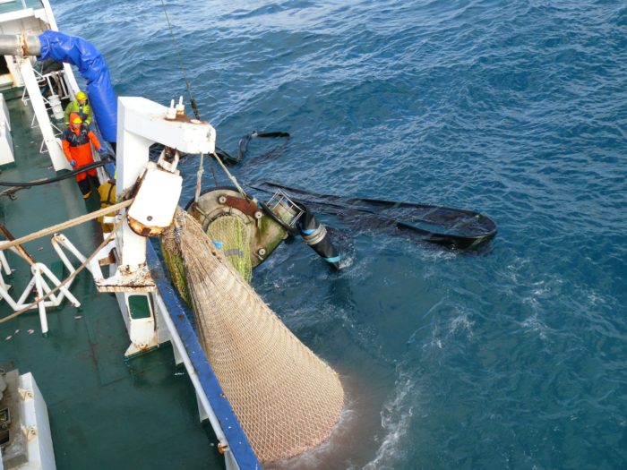 Putting fish pump out