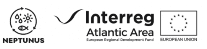 Screenshot 2024 12 02 at 03.42.14