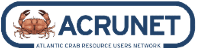 Screenshot 2024 12 02 at 04.23.21