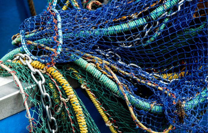 david clode wygfGUqOmqs unsplash