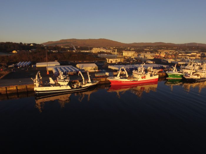 DCIM100MEDIADJI 0086.JPG