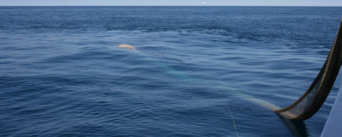 hiroko yoshii khplI4VZ6UQ unsplash