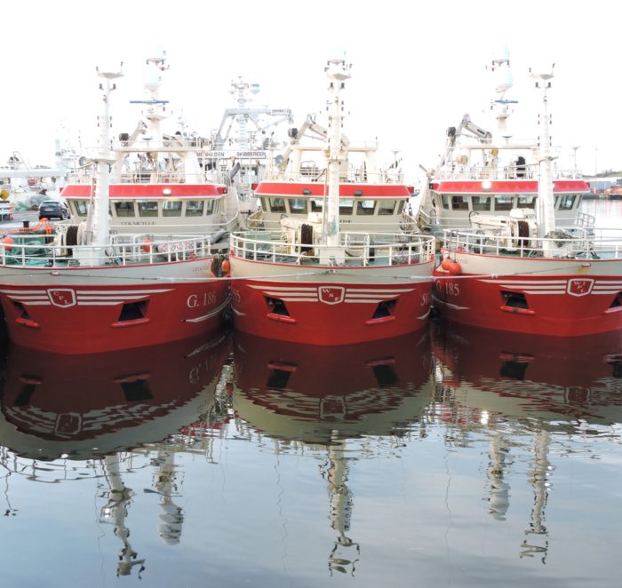 jurgen dekker Qleb1MZ5eK0 unsplash