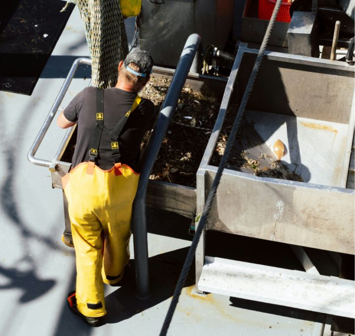 jurgen dekker Qleb1MZ5eK0 unsplash