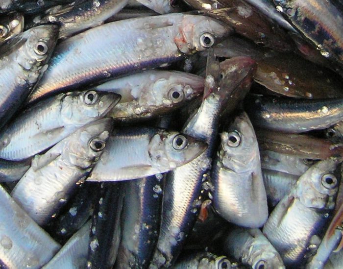 kate estes BRnnJ6vVNdY unsplash