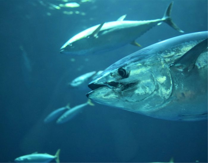 kate estes BRnnJ6vVNdY unsplash