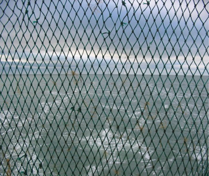 kateryna ivanova H1ESsqMl5q8 unsplash