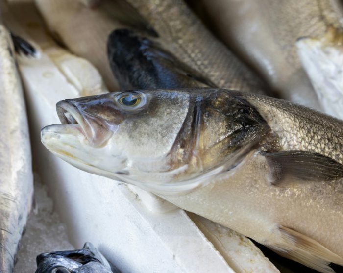 kateryna ivanova H1ESsqMl5q8 unsplash 3