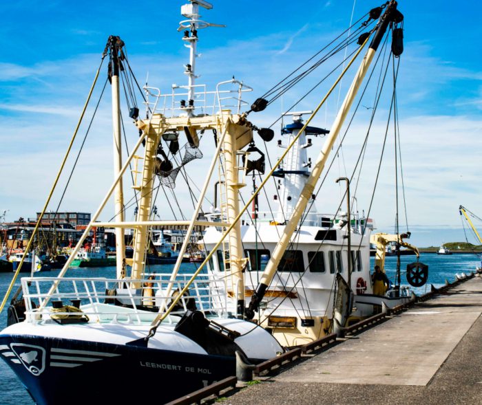 kateryna ivanova H1ESsqMl5q8 unsplash 4