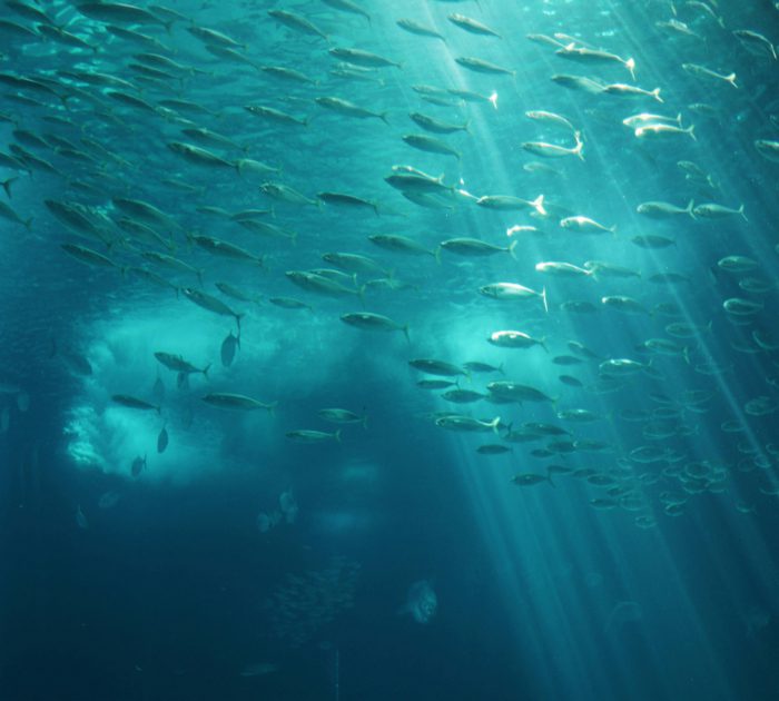 kateryna ivanova H1ESsqMl5q8 unsplash 5