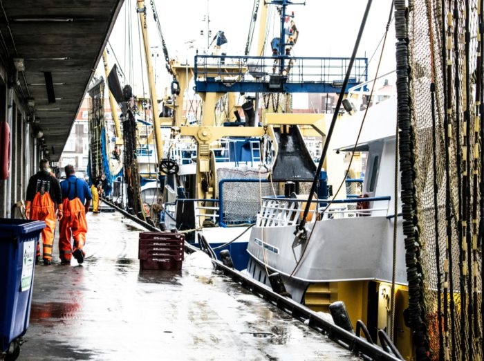 kateryna ivanova H1ESsqMl5q8 unsplash 6