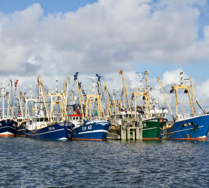 kateryna ivanova H1ESsqMl5q8 unsplash