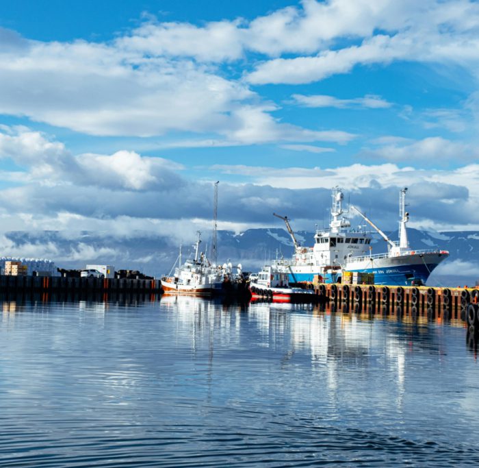 kateryna ivanova H1ESsqMl5q8 unsplash