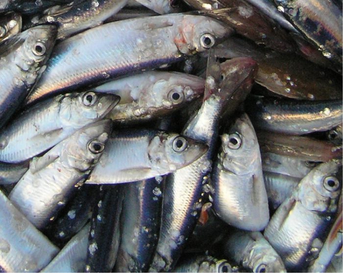 kateryna ivanova H1ESsqMl5q8 unsplash