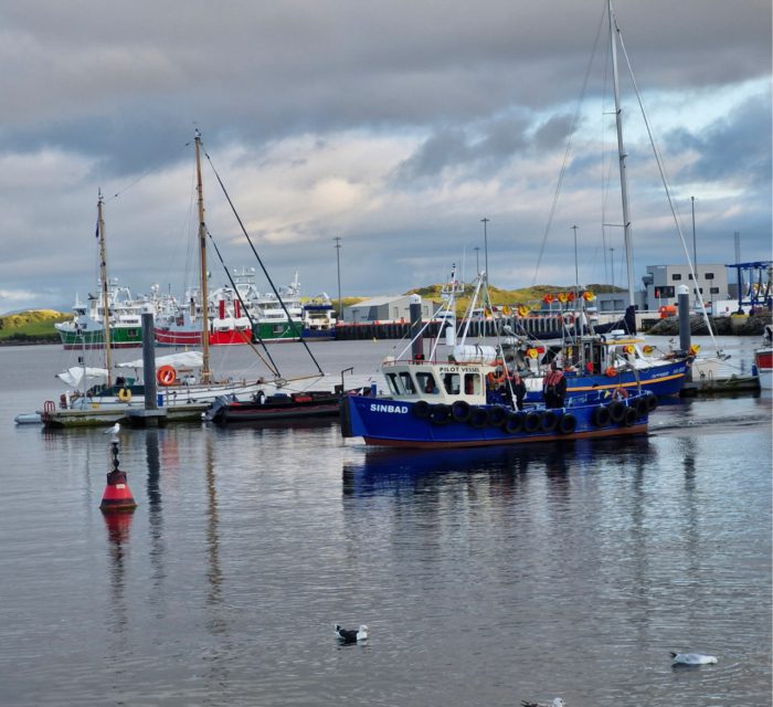 mitili mitili SDm NhFuodM unsplash