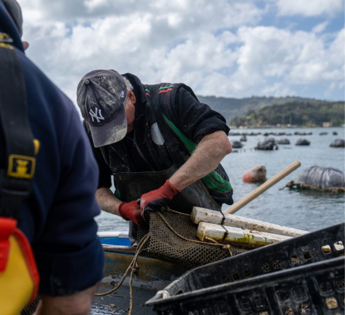 mitili mitili SDm NhFuodM unsplash