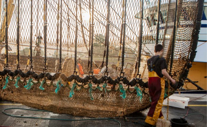 paul einerhand X9arsBYZkOE unsplash