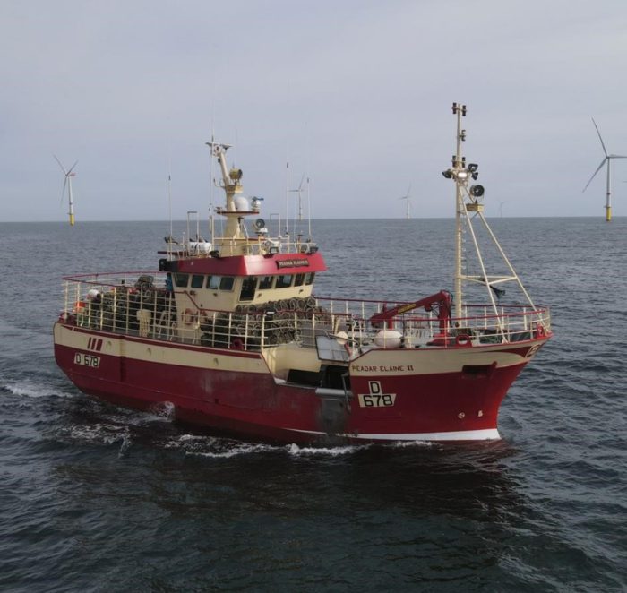 paul einerhand yrnMHz00jR8 unsplash