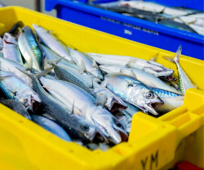 richard bell RySd8U4BsUo unsplash