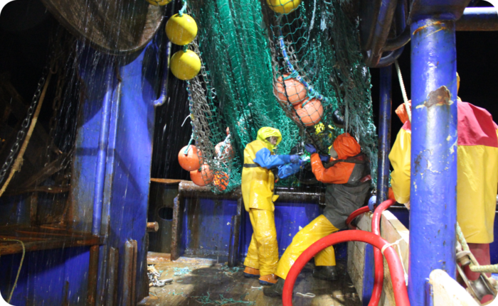 paul einerhand yrnMHz00jR8 unsplash