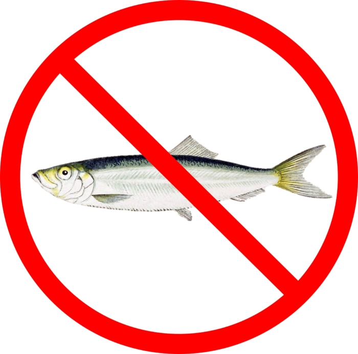sprat ban